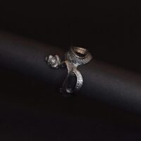Anillos tienda de accesorios